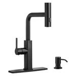Kitchen Faucet With Pull Down Sprayer: Aleasha Waterfall .... Fixed Price $134.68.