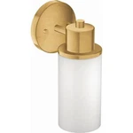 Moen Iso DN0761BG 1-LIGHT Dual-mount Bathroom Vanity Fixture With Frosted Glass. Fixed Price $65.00.