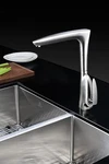 Timbre Series Single-handle Standard Kitchen Faucet Brushed Nickel. Fixed Price $105.00.
