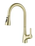 Elegant Lighting FAK-305BGD Andrea 1.8GPM Single Hole Pull Down Kitchen Faucet. Fixed Price $90.00.