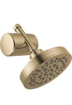 Delta Filtered Wall-mount Shower Head 5-SPRAY Multi-function Brushed Gold 6 In. Fixed Price $60.00.