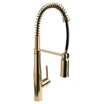 Speakman SB-1043-BRB Neo Spring Kitchen Faucet With Pull Dow. Fixed Price $125.97.