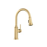 Blanco Empressa 1.5 Gpm Single Hole Pull Down Kitchen Faucet - 442980 Gold. Fixed Price $299.99.