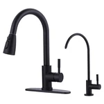 Black Kitchen Faucet And Water Filter Combo, Wowow Stainless Steel Kit.... Fixed Price $115.08.