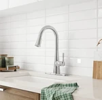 American Standard Southport Single Handle Pull-down Kitchen Faucet Stainless. Fixed Price $69.95.