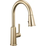 Delta 19730LF-CZ Kitchen Faucet. Fixed Price $104.51.