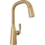 Delta 9176-CZ-PR-DST Kitchen Faucet Handle 1.8 Gpm Ss 3/8" Connection. Fixed Price $785.50.