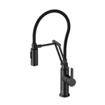 Elegant Lighting FAK-304 Leonardo 1.8 Gpm Hole Pull Down Black. Fixed Price $167.17.