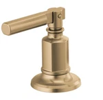Brizo Invari HL60P76-GL Pressure Balance Valve Trim Lever Handle Luxe Gold New. Fixed Price $96.99.