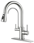 Forious Kitchen Faucet With Filter, Ss Pull Down Sink, 2-IN-1. Fixed Price $149.98.