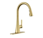 Kohler R33912-2MB Guild Pull-down Kitchen Sink Faucet Gold. Fixed Price $149.99.
