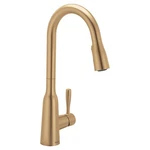 Modern Kitchen Renovation - Moen Bronzed Gold Pulldown Faucet 87891BZG. Fixed Price $299.99.