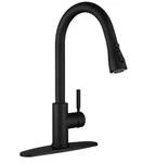 Ruiling Kitchen Faucets Single-handle Pull-down Lead-free Matte Black. Fixed Price $64.99.