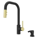 Pfister Zanna 1HANDLE Pulldown Kitchen Faucet In Matte Black Brushed. Fixed Price $157.39.