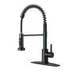Androme Single-handle Pull Down Sprayer Coil Spring High-arc Kitchen Faucet Blk. Fixed Price $55.00.