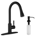 Black Kitchen Faucet, Faucets With Pull Down Sprayer Wewe Commercial .... Fixed Price $180.62.