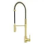 Pfister GT529-BICBG Kitchen Faucet. Fixed Price $196.98.