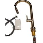 Rohl TE55D1LMAG Tenerife Single Handle Kitchen Faucet W/ Sprayer - Antique Gold. Fixed Price $724.90.