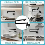 Wall Mount Pot Filler Faucet Double-handle In Matte Black CFLT-2030-1-DP. Fixed Price $52.76.