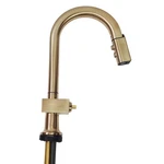 Brizo 64922LF-GLLHP Frank Lloyd Wright Kitchen Faucet (less Handle) Luxe Gold. Fixed Price $700.90.