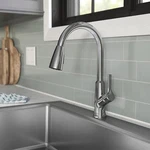 Elkay Everyday Single Handle Kitchen Faucet W/ Pull Down Spray - Chrome LK1410CR. Fixed Price $43.49.