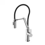 Elegant Lighting FAK-304BNK Kitchen Faucet. Fixed Price $103.34.