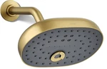 Kohler K-26290-G-2MB Statement 1.75 Gpm Multi Function Shower Head,brushed Brass. Fixed Price $185.00.