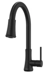 Pfister G529PF2B Pfirst Single Handle Pull-down Kitchen Faucet Matte Black. Fixed Price $100.00.