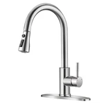 Brushed Nickel Kitchen With Pull Down Sprayer Sink Stainl. Fixed Price $47.64.