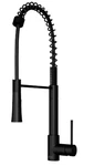 Vigo Pull Down Kitchen Spray Faucet VG02022MB Matte Black- New In Box. Fixed Price $90.00.