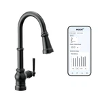 Moen S72003EVBL Kitchen Faucet, Matte Black. Fixed Price $381.92.
