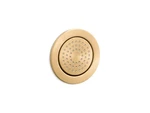 Kohler 8014-2MB Watertile Round 54-NOZZLE Body Spray With Soothing. Fixed Price $236.00.