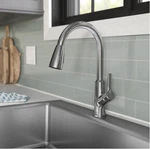 Elkay Single Handle Pull-down Kitchen Faucet. Fixed Price $80.00.