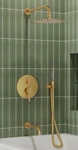 Everstein Rainfall Shower System - Matte Finish. Incomplete Handheld. Fixed Price $100.00.