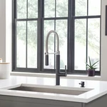 American Standard Cayenne Semi-professional Matte Black/stainless 7033350.243. Fixed Price $150.00.