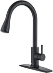 Forious Kitchen Faucets With Pull Down Sprayer - Black ( FF0023CB). Fixed Price $39.99.