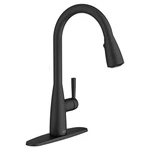 American Standard Single-handle Pull-down Dual Spray Kitchen Faucet. Fixed Price $90.00.