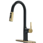 Fropo Kitchen Faucets, Black And Gold With Pull. Fixed Price $72.98.