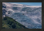 Glacier With Some Wildlife Alask Framed Wall Art Poster Canvas Print Picture. Fixed Price $33.25.