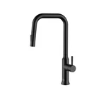 Elegant Lighting FAK-311 Noor 1.8 Gpm Hole Pull Down Kitchen Black. Fixed Price $220.00.