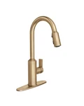 Read! Moen Meena 87270BZG One-handle Pull-down Kitchen Faucet Bronzed Gold. Fixed Price $143.10.