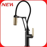 Brizo Articulating Kitchen Faucet R14. Fixed Price $649.95.