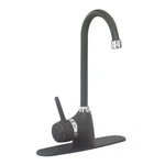 Kitchen Faucet Gooseneck Black Chrome Single Hole 1 Handle Renovator's Supply. Fixed Price $216.99.
