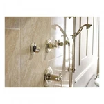 Delta H597PN Metal Lever Handle Transfer Valve Polished Nickel Cassidy. Fixed Price $98.55.