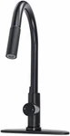 Empire Faucets Rv Kitchen With Sprayer - Black Pull Down Spout. Fixed Price $120.00.