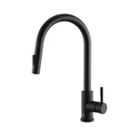 Elegant Lighting FAK-302 Jack 1.8 Gpm Hole Pull Down Kitchen Black. Fixed Price $198.00.
