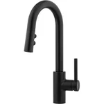 Pfister LG572-SAB Kitchen Faucet. Fixed Price $101.14.