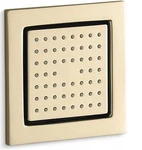 Kohler 8002-AF Watertile 54 Nozzle Shower Body Spray Vibrant French Gold New. Fixed Price $249.99.