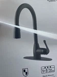 Project Source Tucker Matte Black Single Handle Pull-down Kitchen Faucet New. Fixed Price $70.00.