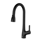 Elegant Lighting FAK-305 Andrea 1.8 Gpm Single Hole Pull Down Kitchen Faucet Mat. Fixed Price $45.23.